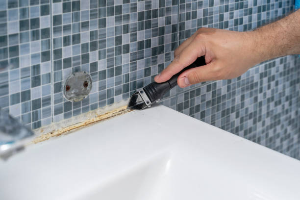 Best Mold Remediation Services  in , MT