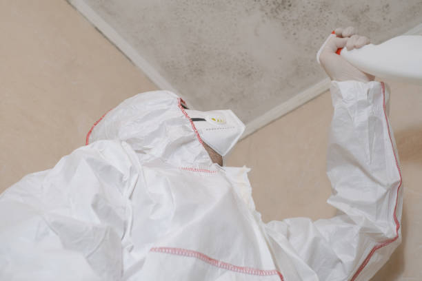 Best Office Mold Removal Services  in , MT
